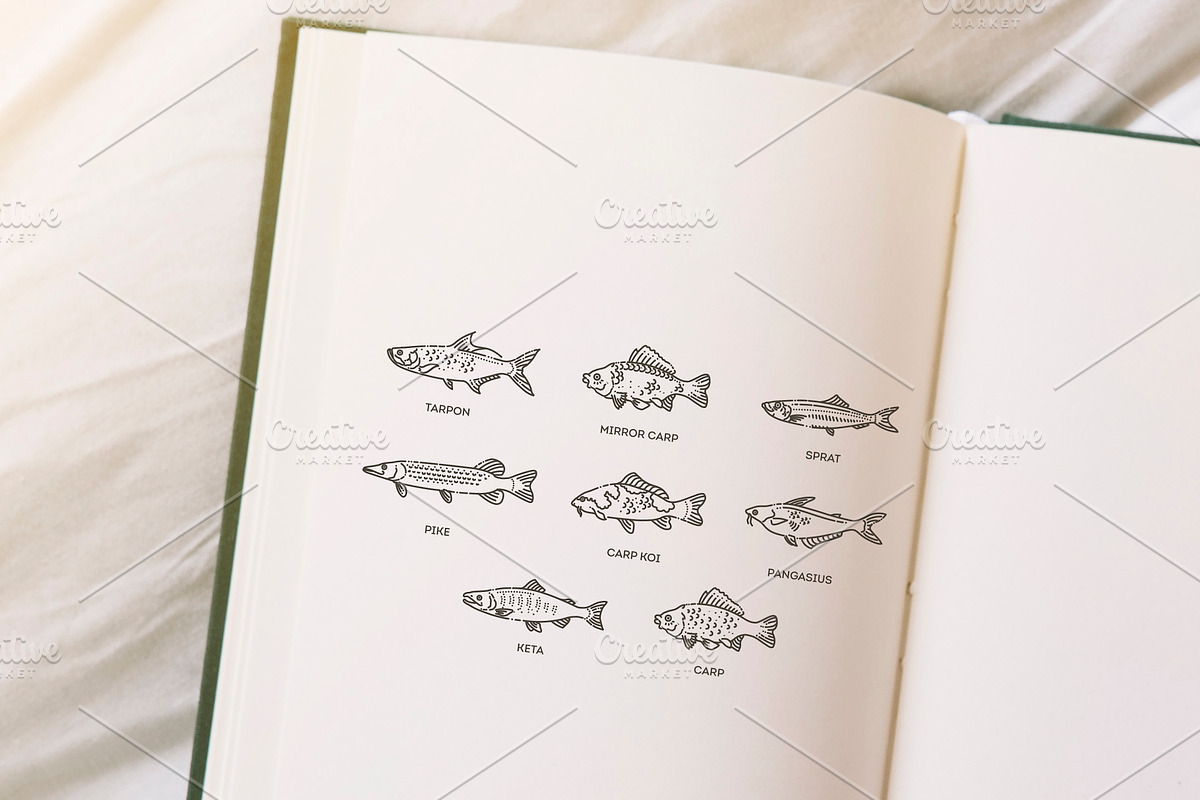 Set of vector outline fish icons, an Animal Illustration by Tettygreen (Photo 2 of 3)