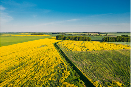 Natural Green Field With Trails, an Industrial Photo by Our Amazing World