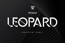 Leopard Futuristic Y2K Font