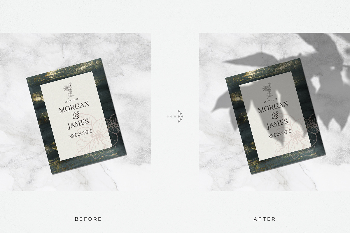 Organic Shadows Collection III, a Product Mockup by The Iconic (Photo 3 of 8)