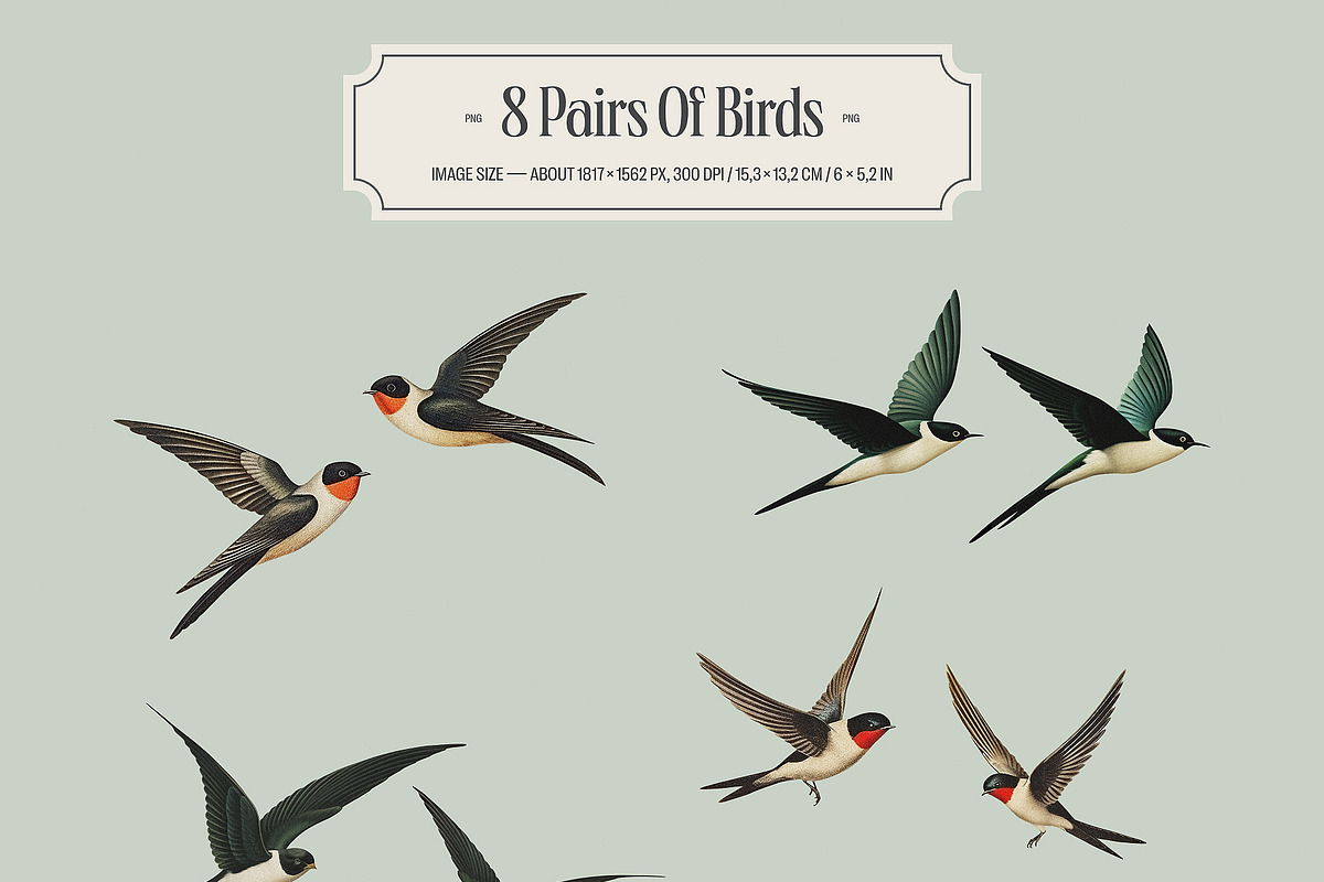 Swallows - vintage illustrations, an Animal Illustration by AI Crafted Magnolia (Photo 6 of 13)