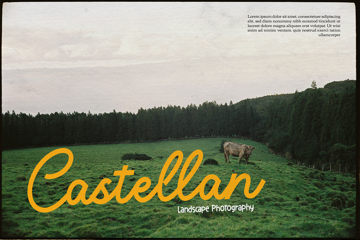 Averty Meadow | Monoline Script, a Script Font by gracetype_studio (Photo 5 of 12)