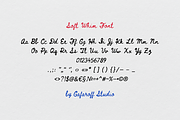Soft Whim Handwritten Script Font, a Script Font by gafaroff studio (Thumbnail 7 of 7)