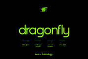 Dragonfly - Modern Sans Serif, a Sans Serif Font by subkulturetype (Thumbnail 1 of 8)