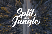 Flaming Script, a Script Font by Sikifonts (Thumbnail 3 of 8)