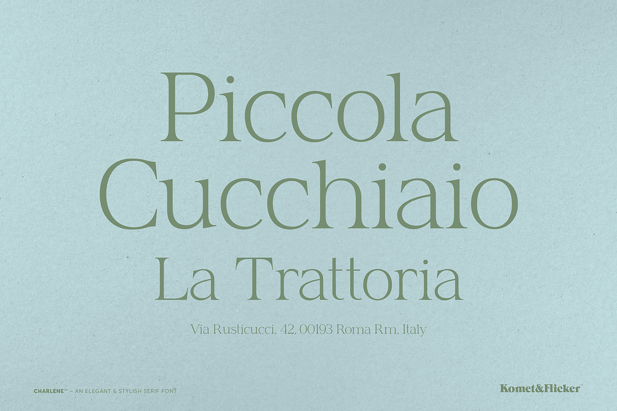 Charlene - An Elegant & Stylish Font, a Serif Font by Komet & Flicker (Photo 12 of 16)