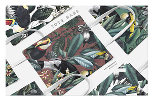 Neotropical, Pattern & Motifs