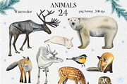 Winter Animal Watercolor Clipart Set, an Animal Illustration by DiashaArt (Thumbnail 19 of 22)