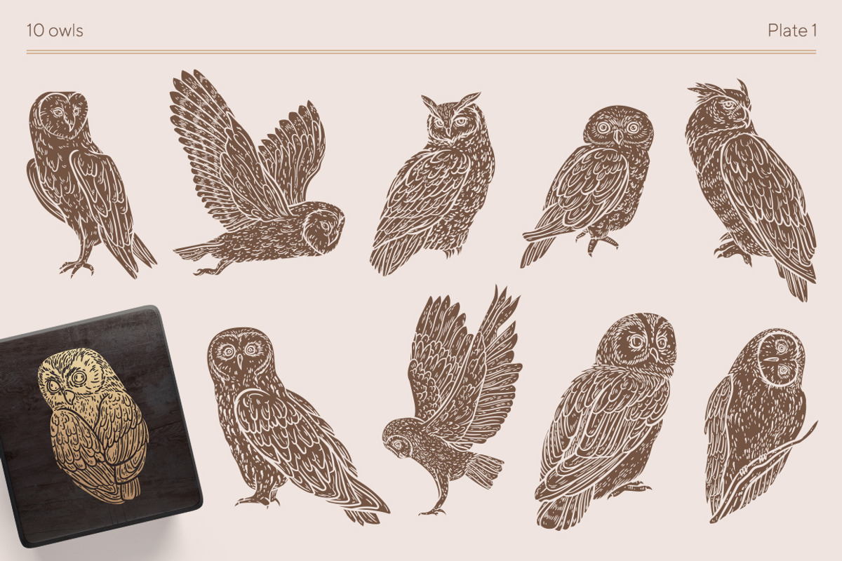 Owls graphic collection, a Decorative Illustration by Piñata (Photo 2 of 17)