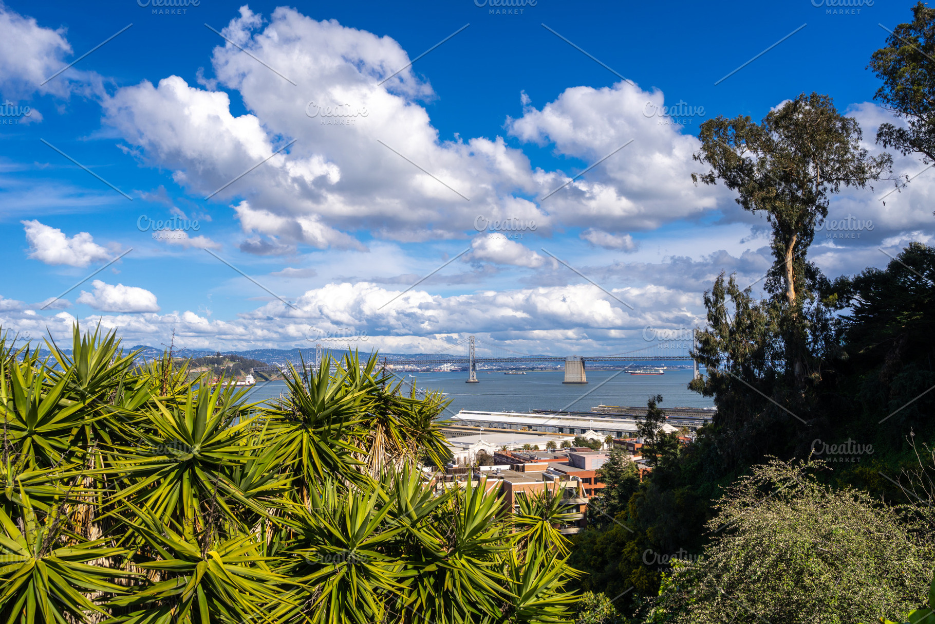Panoramic view of San Francisco Bay and lush greenery, USA, a Nature Photo by GoodGoods
