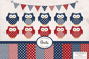 Premium Owl Vectors & Digital Papers, an Animal Illustration by Amanda Ilkov (Thumbnail 1 of 3)