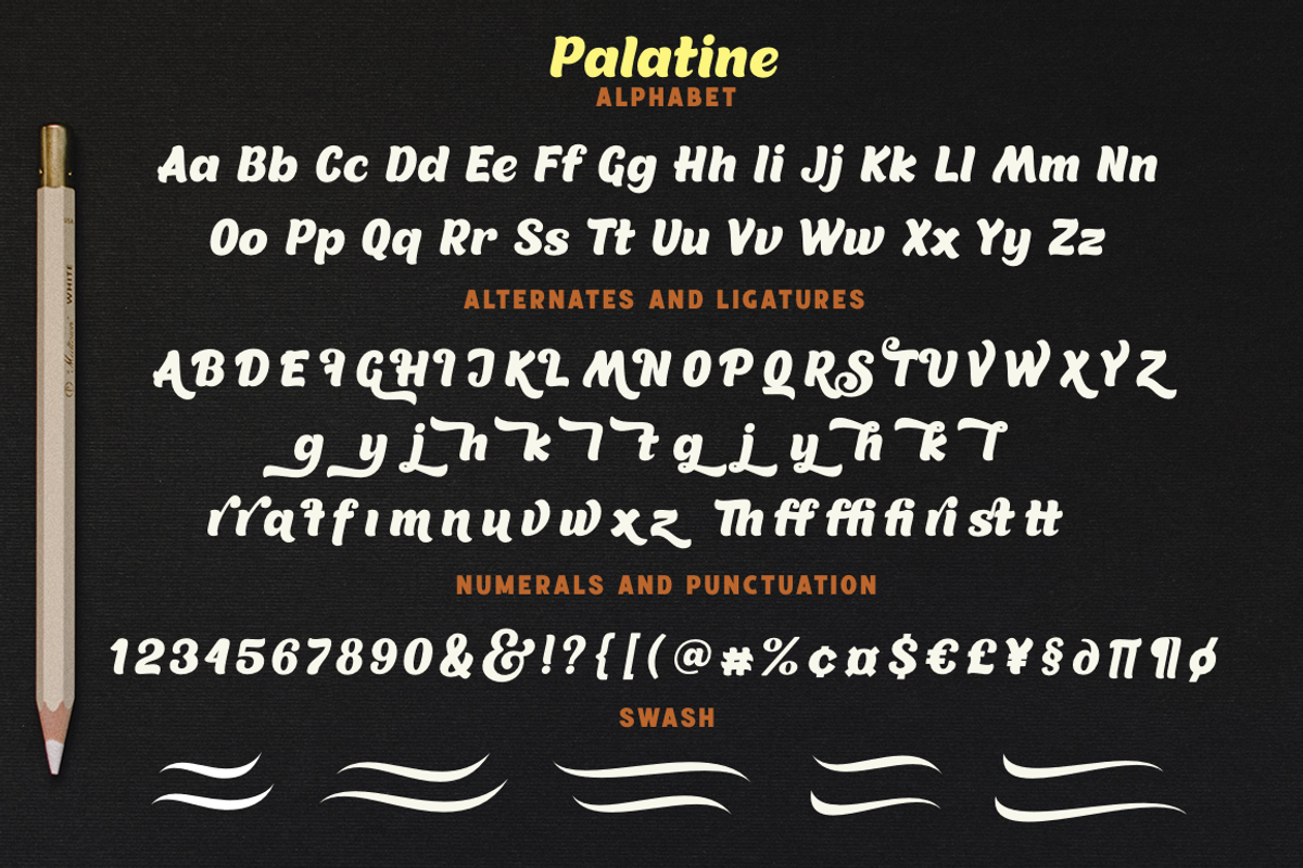Palatine, a Script Font by Larin Type Co. (Photo 10 of 10)