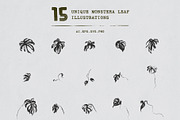Monstera Ink Brush Botanical Vector, a Decorative Illustration by Momosama Studio (Thumbnail 2 of 9)