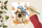 Cute Autumn Jay Sublimation Clipart, an Illustration by CitraGraphics (Thumbnail 5 of 6)
