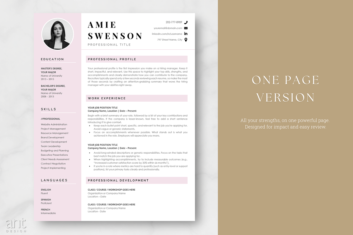 Modern Resume Template - Amie preview 2
