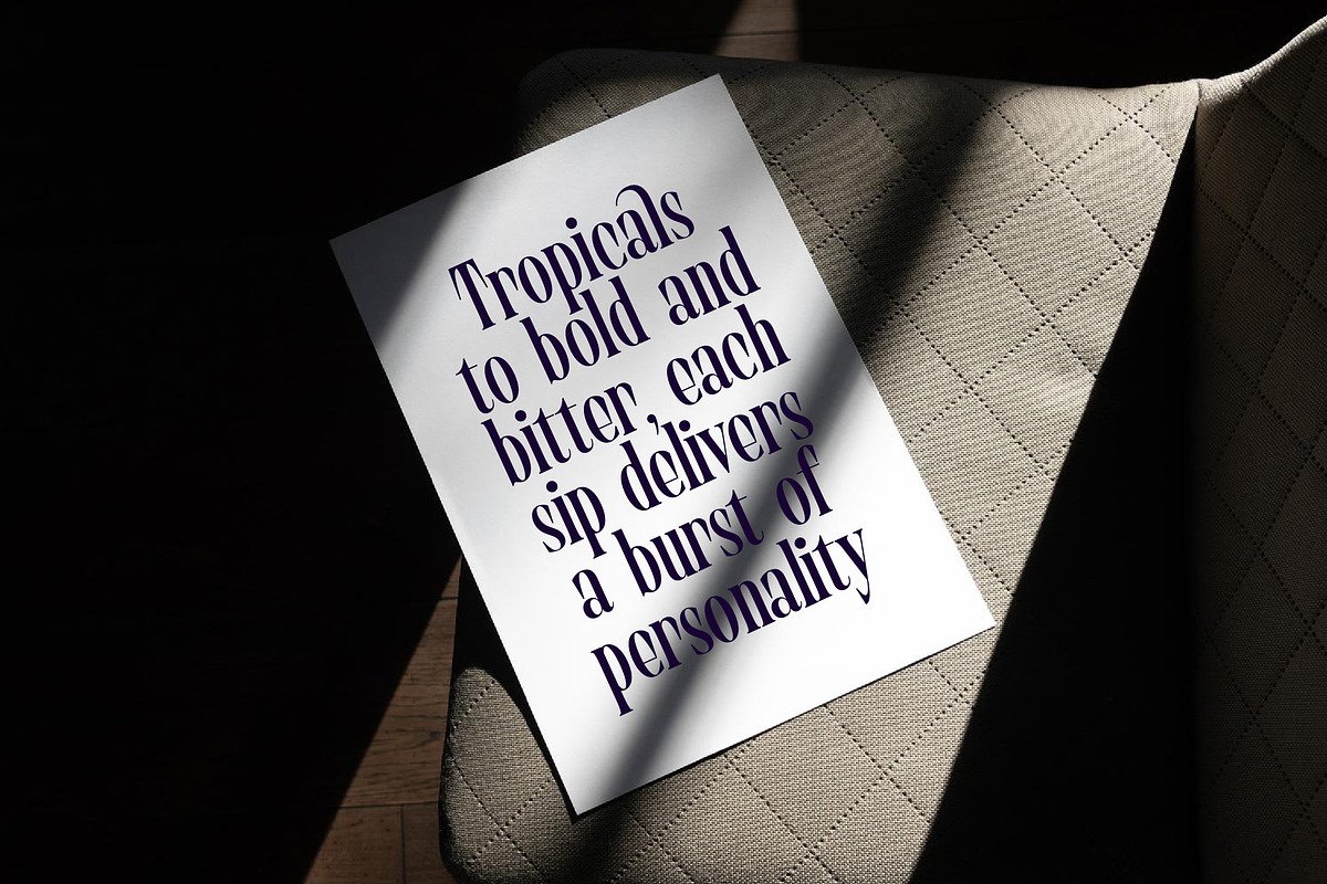 Begosta Modern Display Serif, a Serif Font by timelesstype.co (Photo 6 of 20)