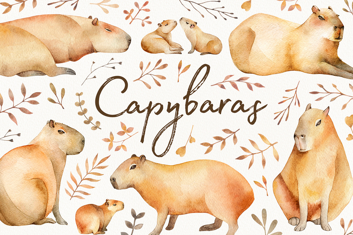 Capybaras Watercolor set, an Animal Illustration by Green_leaf_17 (Photo 1 of 5)