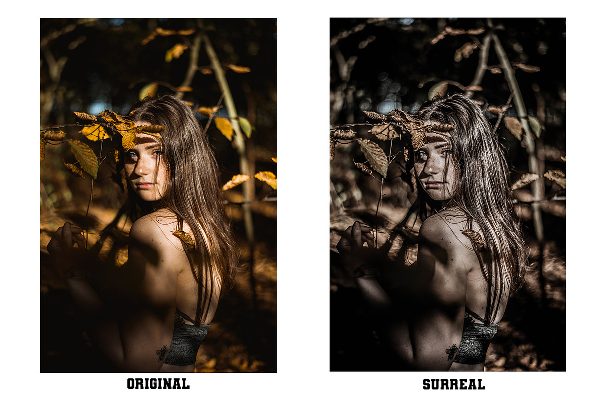 Vibes | Premium Lightroom Presets, a Preset Add-On by Voleshads (Photo 2 of 11)