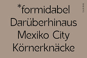 Altmark – a very unique sans, a Sans Serif Font by Local Desk Designstudio (Thumbnail 9 of 23)