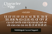 Brennon Stylish Serif Font, a Serif Font by Vampstudio (Thumbnail 14 of 15)