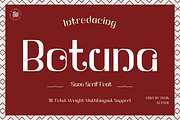 Botuna, a Sans Serif Font by twinstd (Thumbnail 1 of 12)