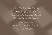 Black Dermys Wedding Font, a Script Font by Elegant Font (Thumbnail 8 of 8)