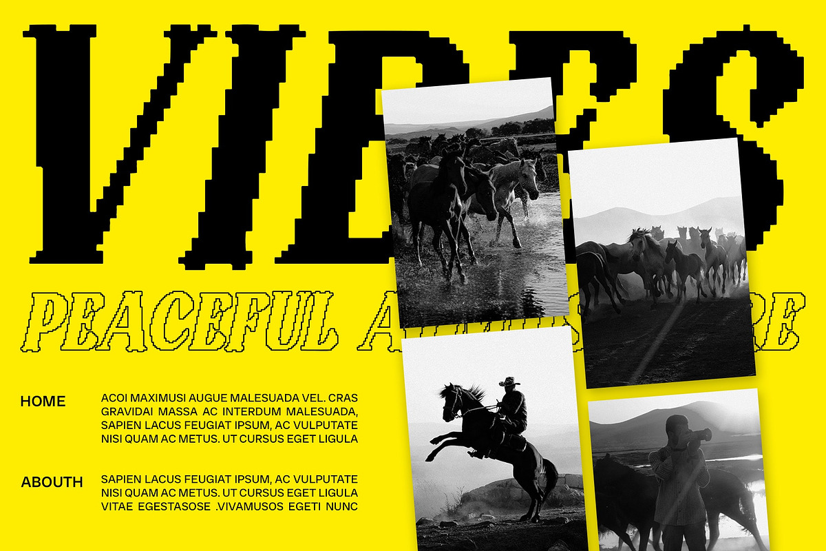 Badoney Pixel, a Serif Font by Craft Supply Co. (Photo 2 of 8)