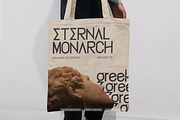 Delmaria | Modern Sans Serif, a Sans Serif Font by gracetype_studio (Thumbnail 3 of 12)