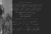 Plamstimes, a Handwritten Font by operatype.co (Thumbnail 13 of 15)