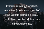 Spooky | Script Font, a Script Font by Scratchones (Thumbnail 6 of 8)