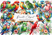 Watercolor  Parrots Clipart, an Illustration by Designworld (Thumbnail 1 of 6)