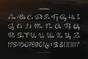 Camerelia Family | Signature Font, a Script Font by Denustudios (Thumbnail 10 of 12)