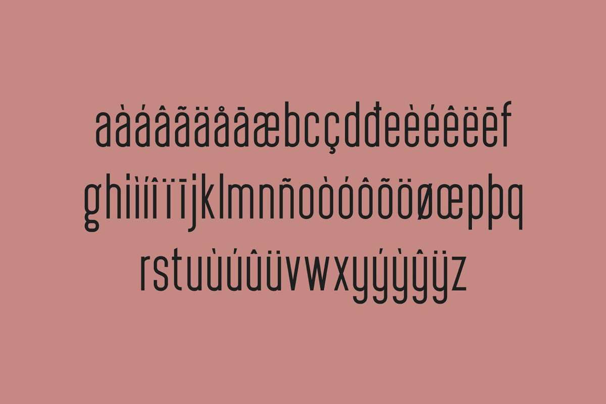 Braden Sans Font Family preview 3