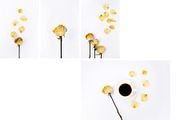 Yellow Styled Stocks & Mock Up, a Household Mockup by Citrus and Cinnamon (Thumbnail 4 of 5)