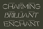 CS Austria – Elegant Font, a Sans Serif Font by Craft Supply Co. (Thumbnail 4 of 8)