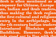ZT Klotin - Display Typeface, a Serif Font by zelow type (Thumbnail 3 of 15)