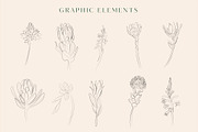Line Art Floral Graphic Elements, a Decorative Illustration by CL Creative Studio (Thumbnail 2 of 11)