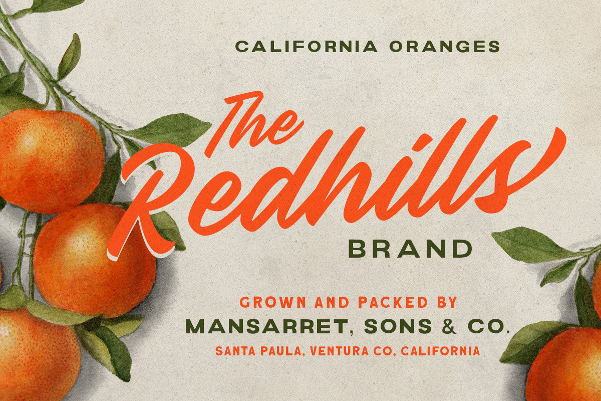 Palacio - Bold Script, a Script Font by Littlehand (Photo 3 of 9)