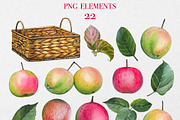 Watercolor Apple Garden Clipart, an Illustration by DiashaArt (Thumbnail 10 of 11)