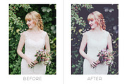25 Bridal Photoshop Actions preview 3