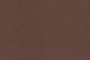 Seamless roman coffee, congo brown, brown derby, buccaneer embossed linen fabri, a Texture Graphic by Textures & Backgrounds