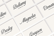 Dancing Majesty–Elegant Calligraphy, a Script Font by Fikryal Studio (Thumbnail 3 of 15)