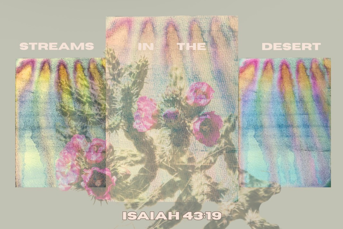 Dreamy Watercolor Drip Backgrounds, a Background Graphic by Eryn Rose Design (Photo 18 of 23)