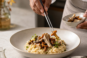 Wild mushroom season promotes gourme, a Photo by Dvoevnore photos