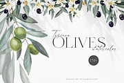 Toscana Olives Greenery, a Food Illustration by Olga Koelsch (Thumbnail 1 of 13)