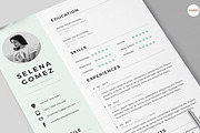 Elegant 1 Page Resume Template, a Resume Template by Emaholic Template (Thumbnail 5 of 5)