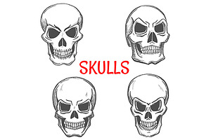 Human Skulls Sketches