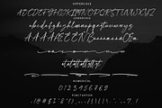 Vastoria Elegant Script Font, a Script Font by NTC Graphic (Thumbnail 7 of 8)