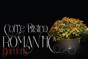 Viona Niosa, a Serif Font by Bramcreative (Thumbnail 4 of 10)