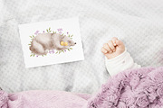 BEAR AND CHICKENS watercolor set, an Animal Illustration by erasovas (Thumbnail 14 of 15)